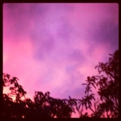 Raspberry sky