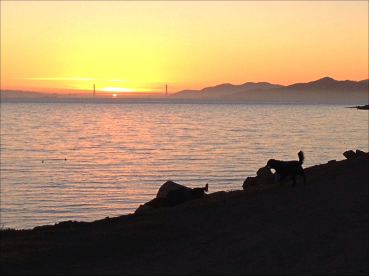 Winter solstice Sunseting Through Golden Gate Bridge 