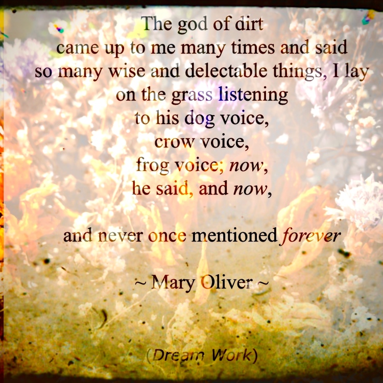 Mary Oliver God of Dort